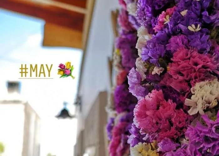 M&m Stone-village House-family-vintage