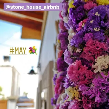 M&m Stone-village House-family-vintage